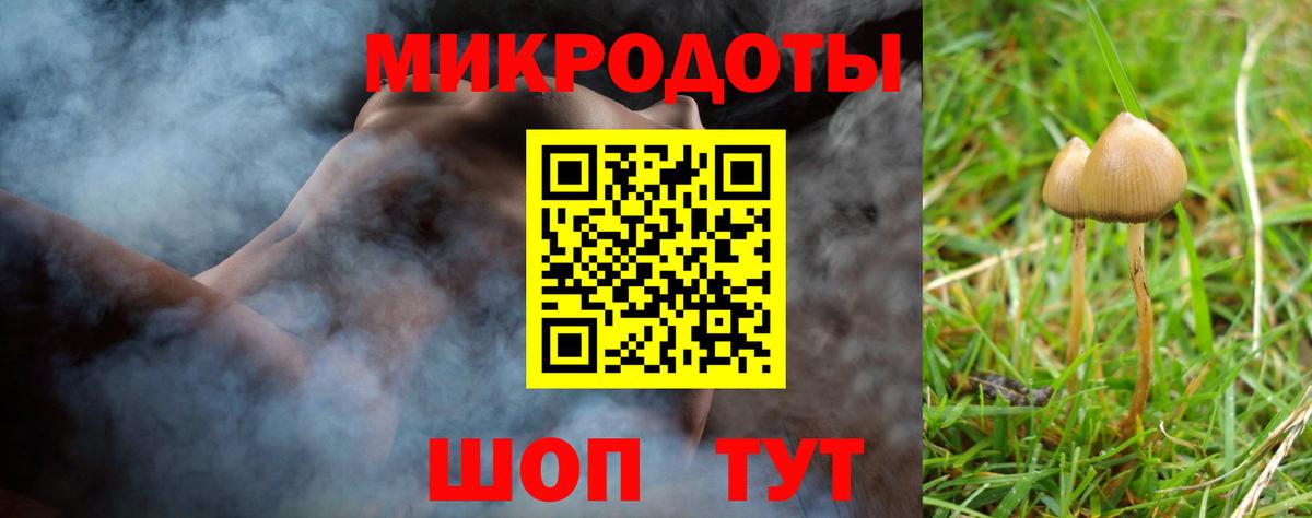 Псилоцибиновые грибы прущие грибы Всеволожск