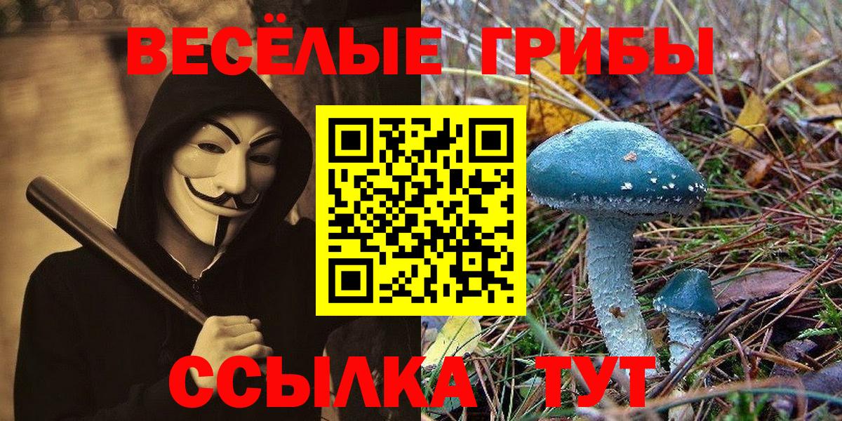 Всеволожск  Галлюциногенные грибы GOLDEN TEACHER  Галлюциногенные грибы ЛСД  Вход с VPN 